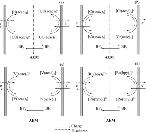 Fig.  7.  Preparation  of  the  anion  exchange  membrane  by  using  4-vinlypyridine  and  1,4-diboromobutane[29].