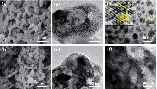 Fig.  6.  SEM  and  TEM  images  of  synthetic  samples  after  calcination  at  1123  K
