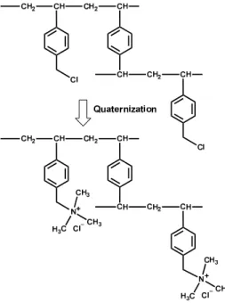 Fig. 3. Reaction scheme of quaternized ionomer.