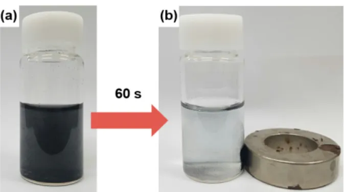 Fig. 5. Photographs of the separation process of Fe 3 O 4 /  porous carbon composite: (a) without external magnetic  field and (b) with external magnetic field