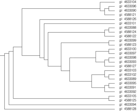 Table  1.  16S  rDNA  sequence  alignments  showing  Kriegr's  sequence  of  A.  hydrophilia  and  other  prokaryotic  sequences  from  NCBI's  public  database