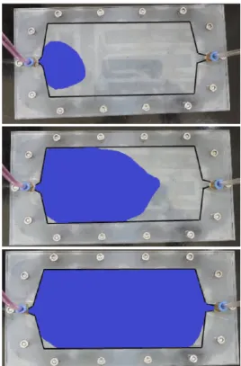 Fig. 8. The confirmation of the flow pattern and dead zone at the flow rate of 30 mL/min.