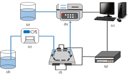Fig. 2. Split electrode CDI schematic in hexagonal flow channel.