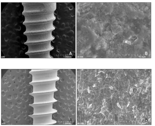 Figure 2. Scanning electron  microscopy micrographs of  tested zirconia  micro-impl-ants