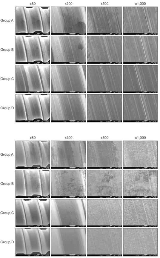 Figure 8. Scanning electron  microscopy images of the  lateral side of orthodontic  miniscrews with an etched  surface (×80, ×200, ×500,  and ×1,000)