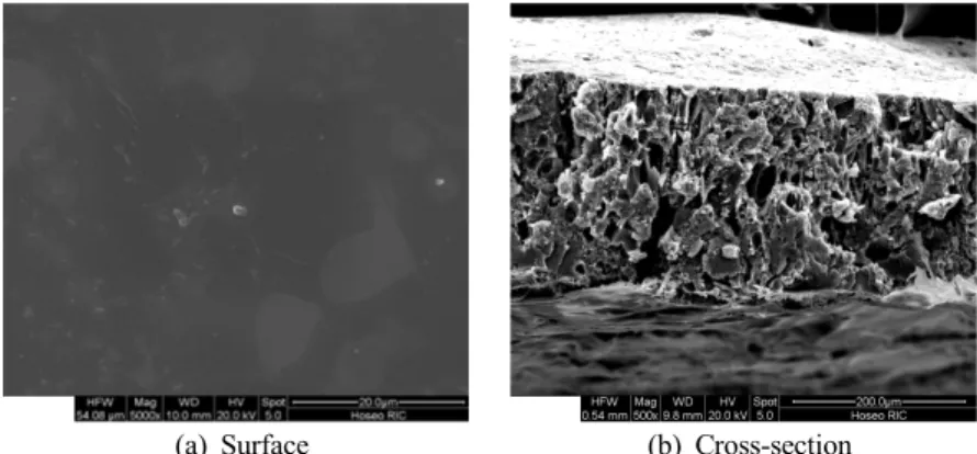 Fig. 4. Morphology of the surface and cross-section of the prepared anion exchange membrane obtained with a SEM.