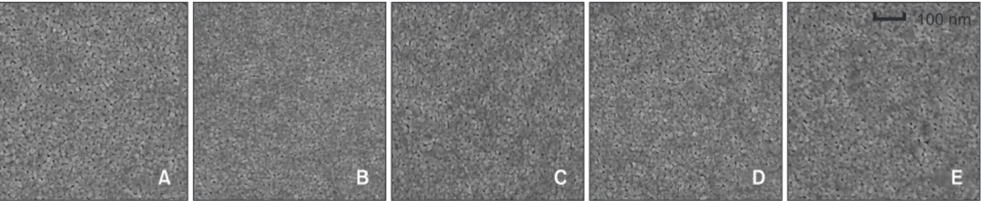 Figure 3. Scanning electron microscopy images of TiO 2  thin films annealed at 700 o C