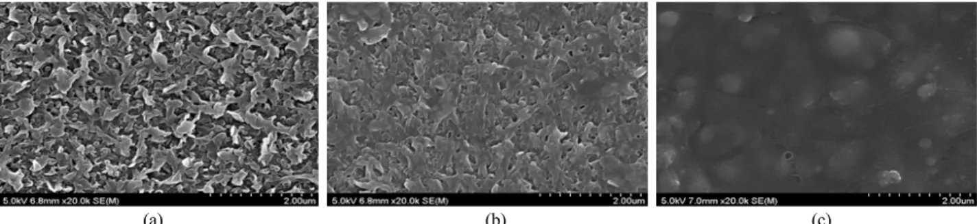 Fig. 2. SEM images of (a) pristine membrane, (b) treated membrane with sodium hypochloride solution and (c) coated  membrane