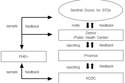 Fig.  1.  Schematic  flows  for  sexually  transmitted  diseases  surveillance  in  Korea