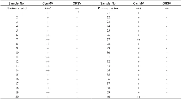 Fig.  4. Detection of CymMV and ORSV in Phalaenopsis  leaves by one-step RT-PCR. (A) Detection of CymMV (327 bp), lane 1: positive control; lane 2 to 11: seed-derived plantlets of Phalaenopsis  imported from Taiwan (collected from Korea Orchid Nursey); lan