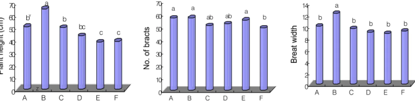 Fig.  2. Effect of waste nutrient solution on plant height, number of bracts and bract width of poinsettia ‘Gutbier V-10 Amy’.