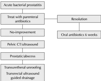 Fig. 1. Treatment algorithm for acute bacterial prostatitis (adapted from Benway and Moon