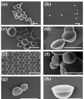 Fig. 2. SEM images of PS particles produced (a) at the  feeding rate (5 mL/h) with vigorous stirring (b) at the  feeding rate (0.04 mL/h) with vigorous stirring into 2 mL  PS solution, (c), (d) at the slower feeding rate (0.04 mL/h) without vigorous stirri