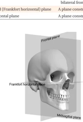 Figure 3. Positive upper canine roll relative to the direc- direc-tion of menton deviadirec-tion.