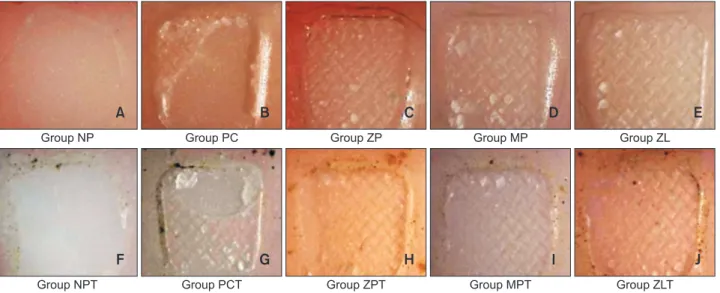 Figure 2. Representative stereoscopic micrographs (16×) of the adhesive failure mode (A, F) and the mixed failure mode  (B − E, G − J)
