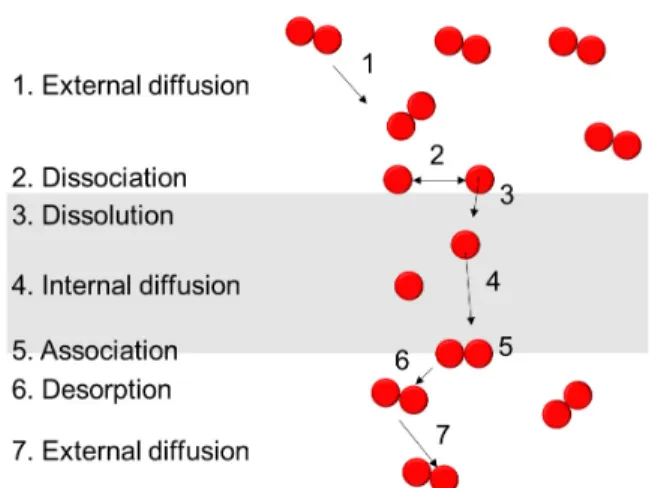 Fig. 2. Solution-diffusion mechanism for hydrogen separa- separa-tion in metal membrane.
