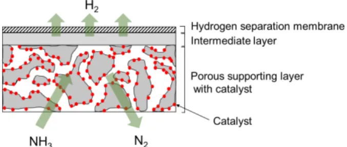 Fig. 7. The conceptual drawing of the catalytic membrane.
