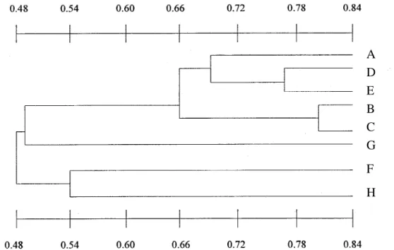 Fig.  2. Dendrogram of 8 Bletilla  striata cultivars generated by UPGMA cluster analysis based on  the similarity coefficient.