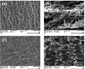 Fig. 5. FE-SEM images of PTFE porous substrate film (a),  (b) and pore-filled anion-exchange membrane (c), (d) ((a)  and (c): surface images; (b) and (d): cross-sectional  im-ages)[31].
