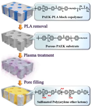 Fig. 7. Schematic illustration for preparation of pore filling  membrane based porous PAEK substrate treated plasma  with SPAEK polymeric filler[38].