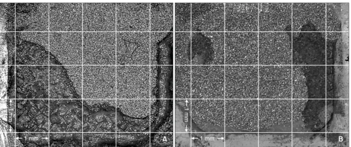Figure 3. Adhesion surface of gold alloy in the aluminum oxide sandblasting plus metal primer (MP) group