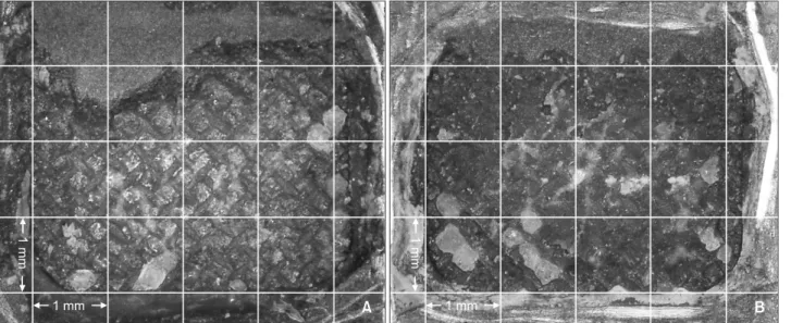 Figure 4. Adhesion surface of gold alloy in the silicoating (SC) group. A, SC group; B, SC with thermocycling (SCT) group