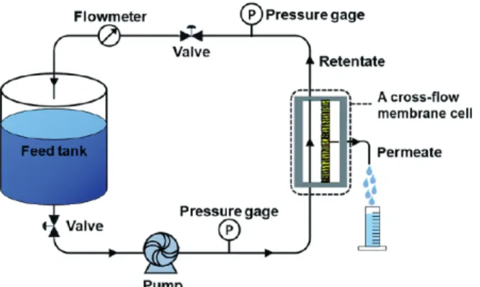 Table 2. Properties of NE40 Membrane Module