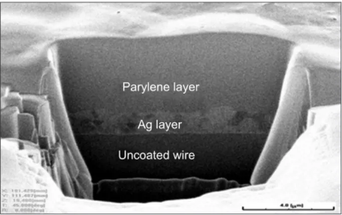 Figure 7. Cross section of a wire in the group of polymer- polymer-coated wires.