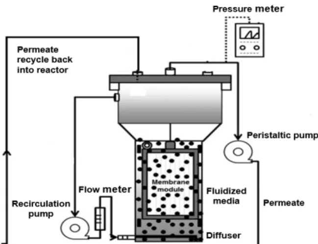 Fig. 1 shows schematics of the fluidized bed mem- mem-brane reactor used in this study