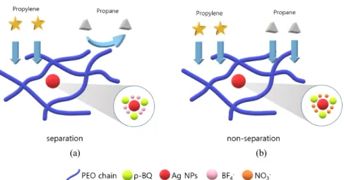 Fig. 2에 보여지는 SEM image는 neat polysulfone 지 지체의 구조를 나타내고, Fig. 3는 PEO/AgNPs (precursor  : AgNO 3 )/p-BQ가 코팅된 polysulfone  지지체 막을 나 타낸다