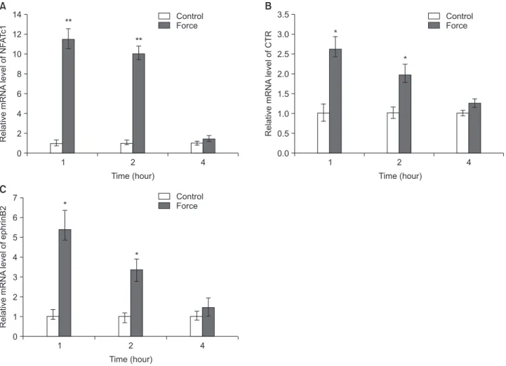 Figure 5. The effects of compressive force on osteoclastogenic gene and ephrinB2 expression in RAW264.7 cells