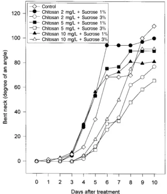 Fig.  3.  Effect  of  adding  chitosan  and  sucrose  in  holding  solu- solu-tion  on  fresh  weight  of  cut  rose  ‘Cadinal’