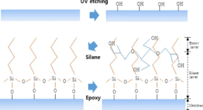 Fig. 4. Scheme of RO membrane performance test apparatus.