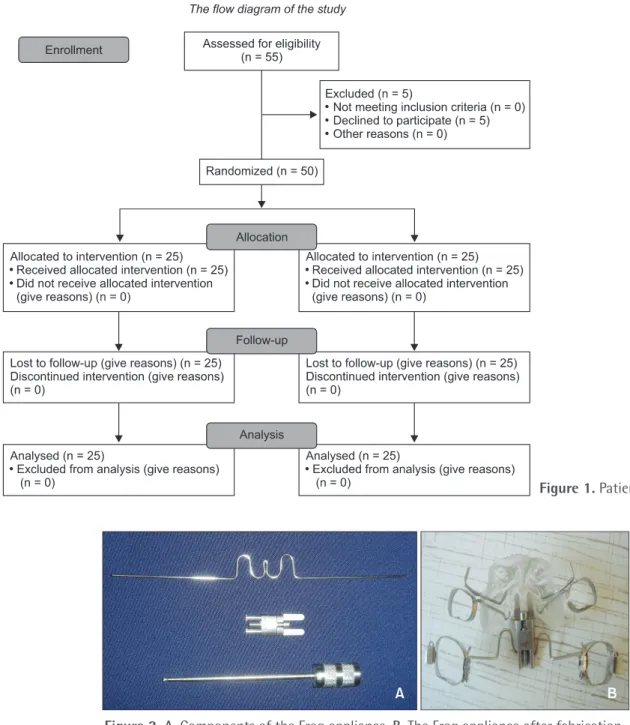 Figure 1. Patient flow chart.