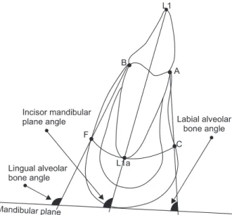 Figure 3. Arch length measurements.