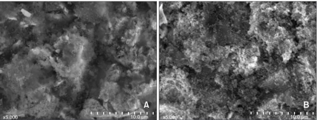 Figure 1. A, Scanning electron micrographs of a specimen after sandblasting with silica (5,000× magnification) and B,  after silane application.