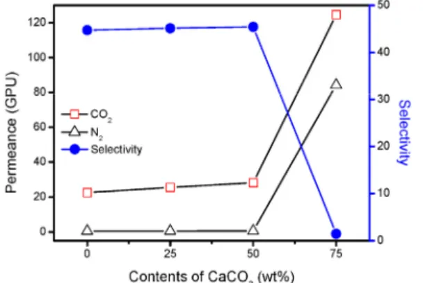 Fig. 4. Surface SEM images of (a) PP/CaCO 3 -1, (b) PP/ 