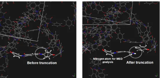 Fig. 4. 3D images of main chain truncation and the location of the nitrogen atom at the end of main chain for Mean square  displacement analysis.