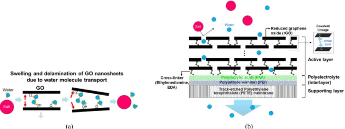 Fig. 1. Schematic diagram of (a) disintegration problem of GO membranes in aqueous solutions and (b) thin film nano- nano-composite membrane fabricated by layer-by-layer technique suggested in this study.