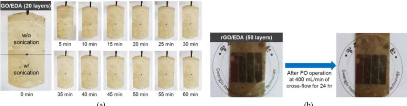 Fig. 2. Stability test of GO and rGO nanocomposite membranes in aqueous solution; (a) After physical stimulation by ultra- ultra-sonication for 1 h, (b) After FO operation at 400 mL/min of cross-flow for 1 d.