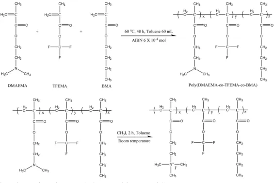 Fig. 6. Membrane structure prepared by Park et al..