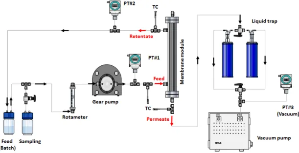 Fig. 3. Schematic diagram of pervaporation membrane process (Batch process).