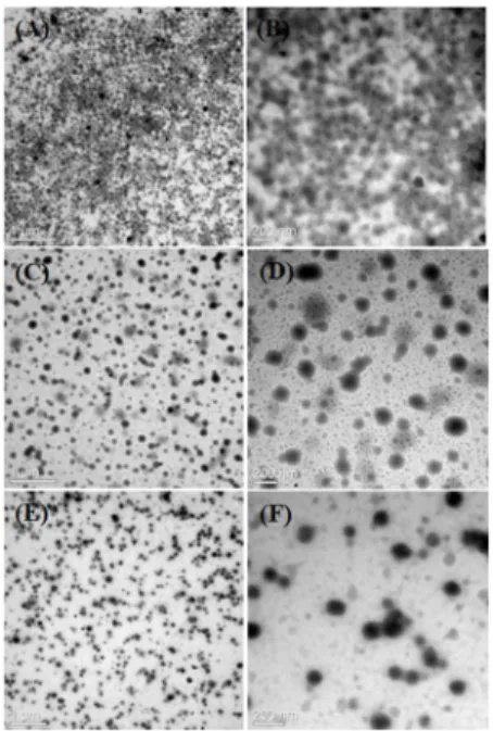 Fig. 4 shows the TGA analysis of the PDMS-PVP  comb copolymers. The thermal stability of the  copoly-mer increases when the proportion of the hard PVP  domain is higher in the copolymer