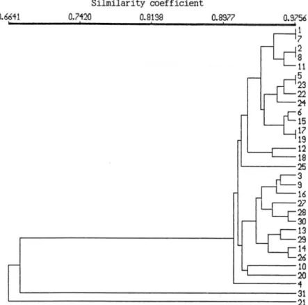 Fig.  2.  Dendrogram  from  UPGMA  cluster  analysis  based  on  similarity  coefficient  by  using  93  RAPD  bands  of  pepper  lines  and  cultivars