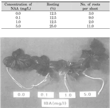Table  5.  Effect  of  NAA  on  rooting  from  microshoot  of  Hibiscus  syriacus  L.  ‘Honghwarang'  at  8  weeks  after  treatment.