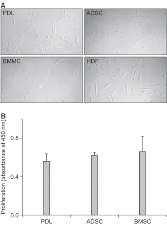 Figure  1. Proliferation of periodontal ligament (PDL)  stro mal cells compared to that of other cell types