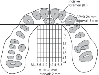 Figure  1. Anteroposterior (AP) and mediolateral (ML)  reference  lines  forming  81  intersection  points  for  measuring the palatal soft tissue thickness