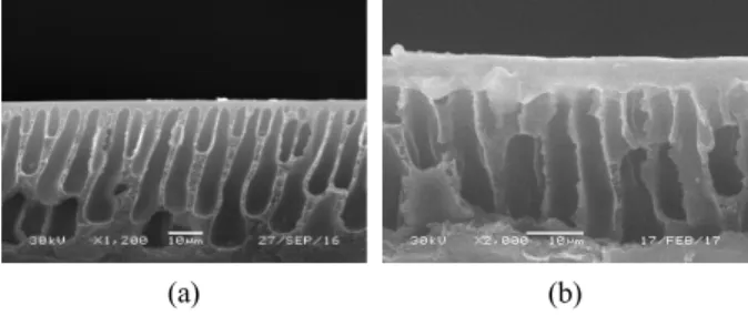 Fig. 1. Scanning Electron Microscopy (SEM) images of  (a) neat polysulfone support and (b) PEO/AgBF 4 /Al(NO 3 ) 3 /  Ag 2 O membrane coated on polysulfone support.
