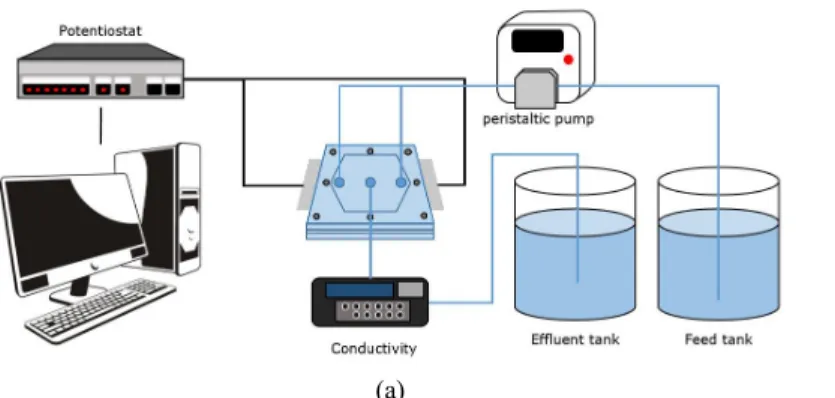 Fig. 1. Schematic diagram of experimental apparatus (a) and MCDI cell (b).