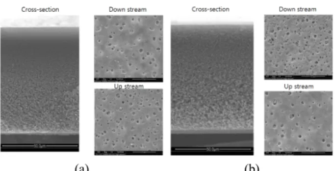 Fig. 3. FE-SEM image of modified membranes by addition  of sPES; (a) PSF-sPES 1 /DMF and (b) PSF-sPES 1.5 /DMF.